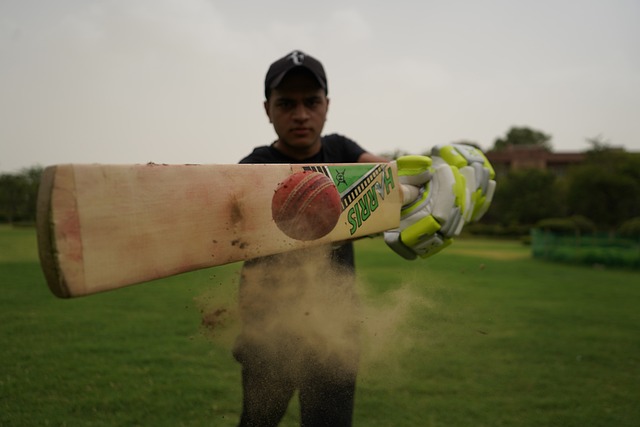 The Impact of IPL on Cricketing Groundskeeping Equipment Innovation