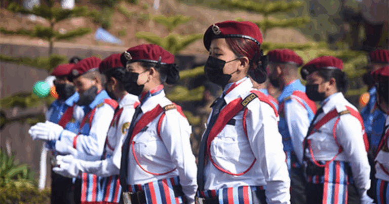 The Evolving Role and Impact of Private Security Services