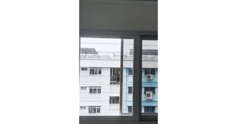 Invisible Grill Price in Singapore: Everything You Need to Know Before You Buy